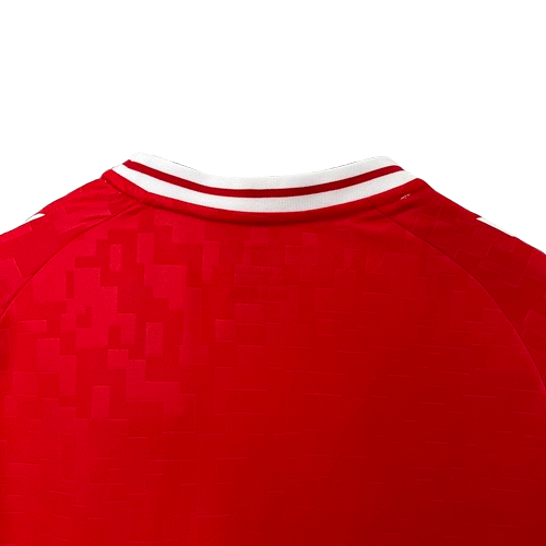 Denmark home 24/25